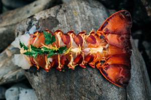 King Island crayfish