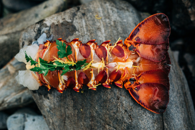 King Island crayfish